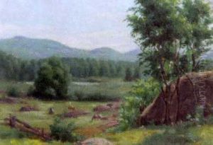 Paysage D'ete