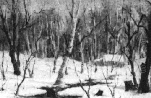 House In Woods, Winter - view 1