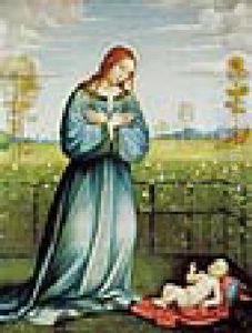 Madonna Mit Kind In Einem Rosengarten by Francesco Francia