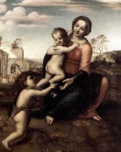The Madonna And Child With The Infant Saint John The Baptist (the Madonna Del Pozzo) by Franciabigio