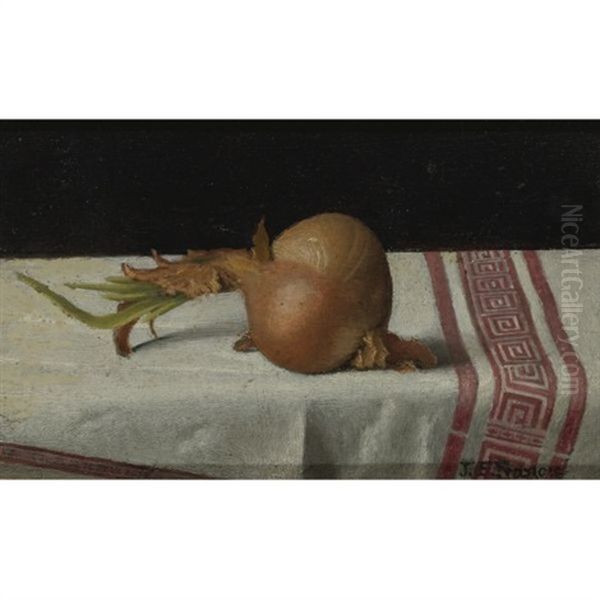 Onion On Tablecloth - view 1