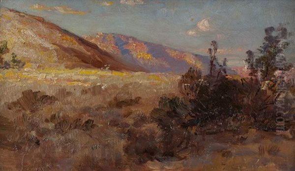 California Landscape - view 1
