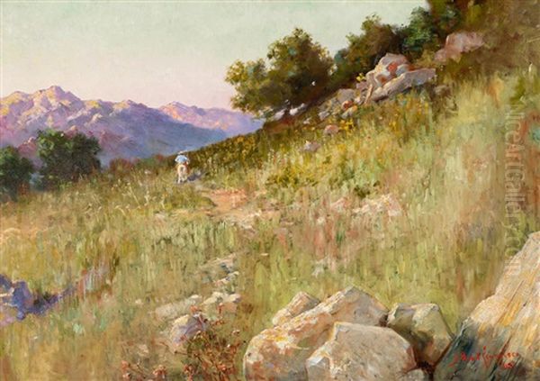 Hills In Sunset - view 1