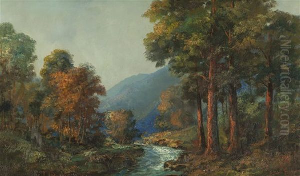 Stream Through A Wooded Landscape - view 1