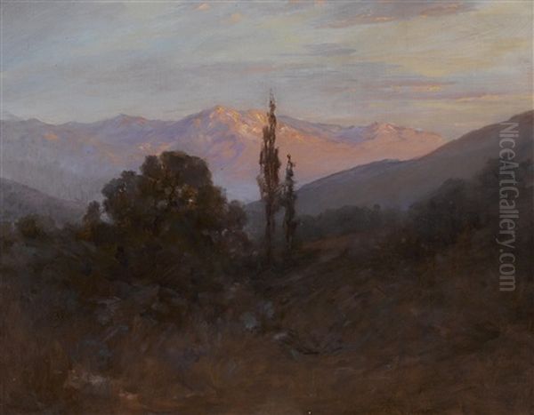Sunset's Rosy Glow - view 1