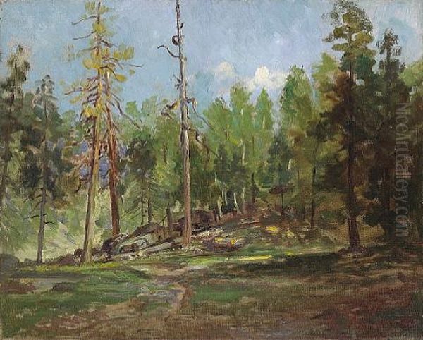 A Clear Spring Mountain Day - view 1