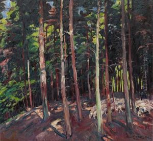 Wald Im Solling Mit Schafherde