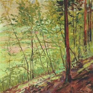 Bewaldeter Landschaft (solling) by Philipp Franck