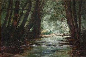 A Creek In A Forest