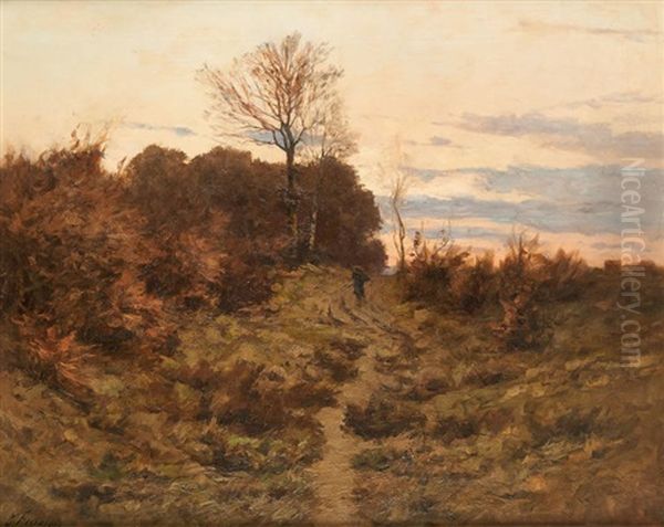 Promeneur Au Coucher Du Soleil - view 1