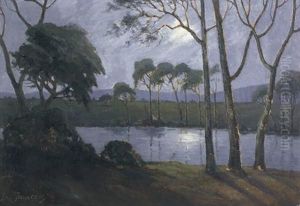 Moonlight by Leo Francois