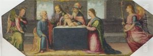 The Circumcision by Innocenzo di Pietro (da Imola) Francucci