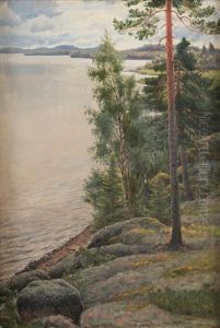 View Over The Lake by Felix Frang-Pahlama