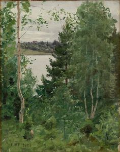 A Lush Landscape
