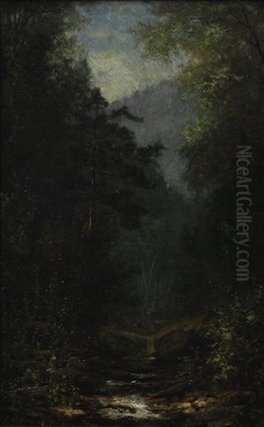 Stream Through The Mountains - view 1