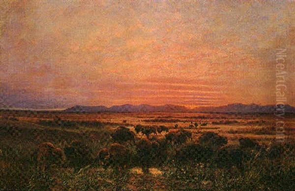 Buffalo Grazing At Sunset - view 1