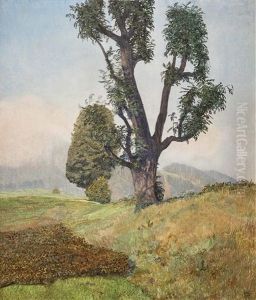 Eschenbaumgruppe Auf Feld Eschenbaumgruppe Auf Feld