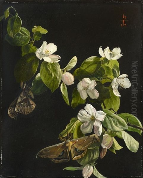 Quince Flowers And Butterflies - view 1