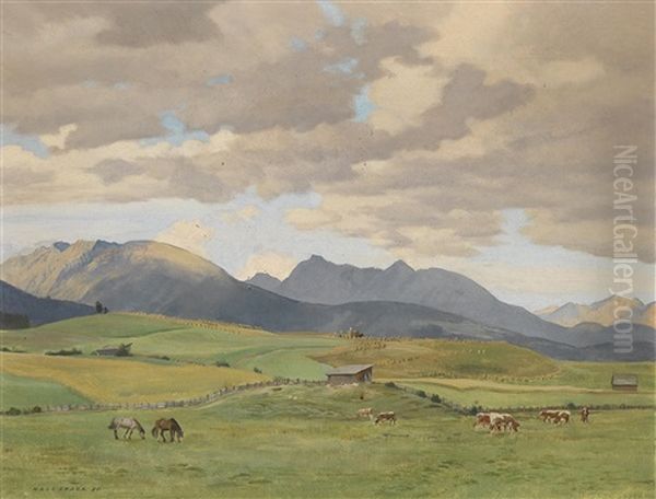 Abend Auf Der Viehweide (lungau) - view 1