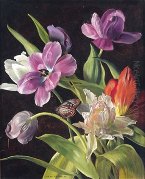 Tulpen Und Schmetterling - view 1