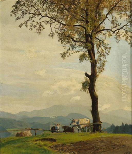 Kuhe Auf Der Weide - view 1