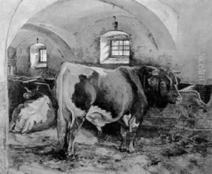 Stallinneres Mit Stier