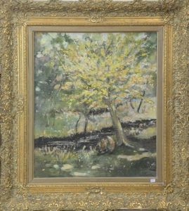Pecheur Sous Un Arbre