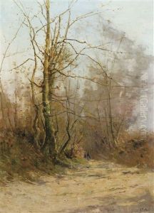 Allee Ensolleillee En Hiver Allee Ensolleillee En Hiver