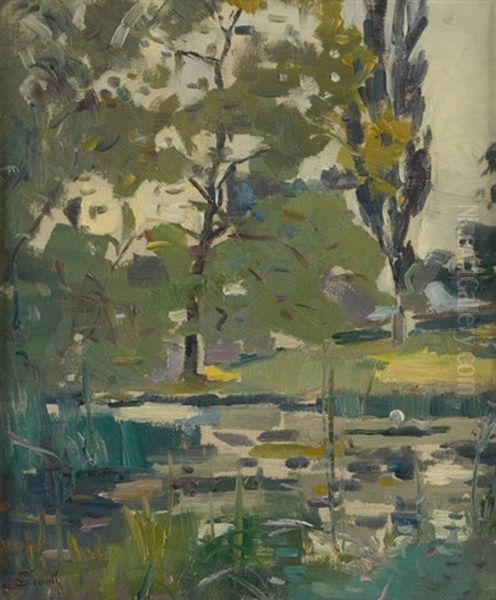 Vue De L'etang - view 1