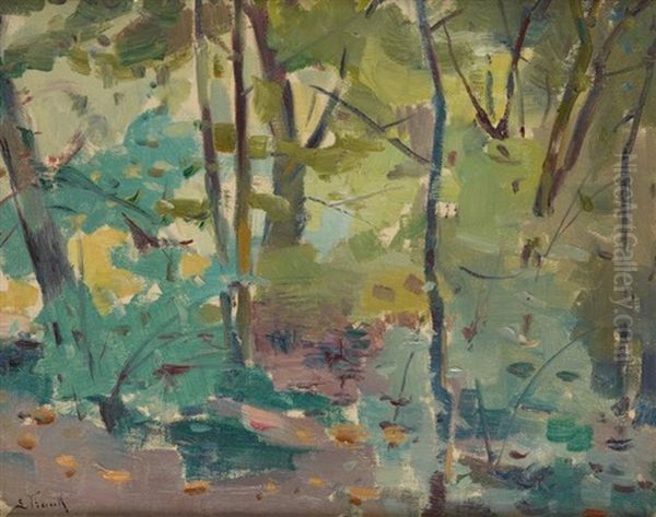 Sous-bois - view 1