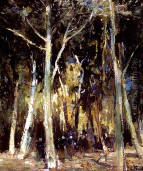 Sous-bois - view 1