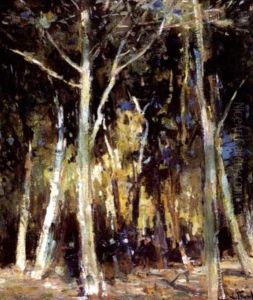 Sous-bois