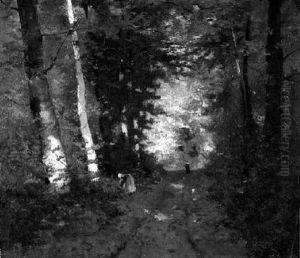 Sonnendurchfluteter Waldweg Sonnendurchfluteter Waldweg