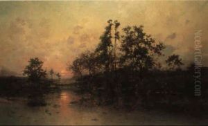 Coucher De Soleil Sur Le Marecage