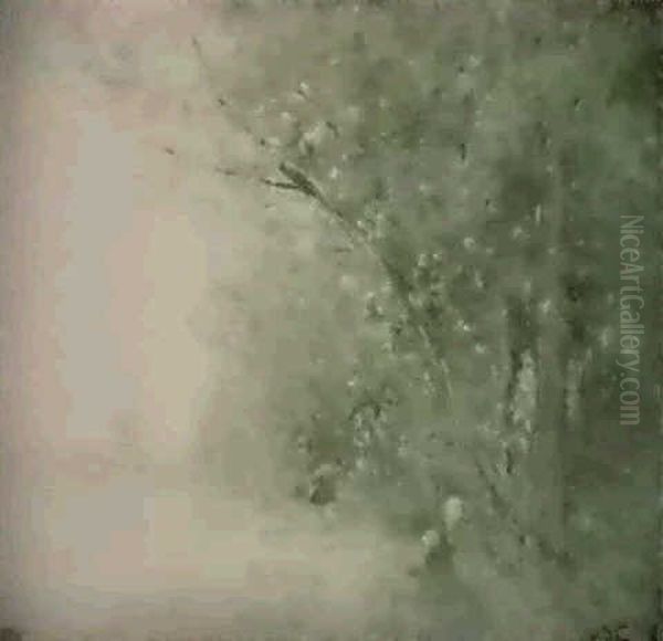 Flusslandschaft - view 1