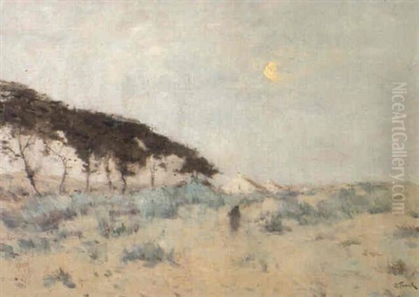 Soleil Pale Sur Les Dunes - view 1