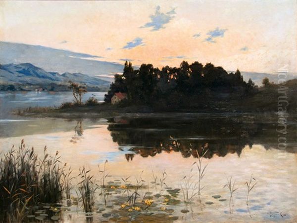 Abendstille Am Chiemsee - view 1