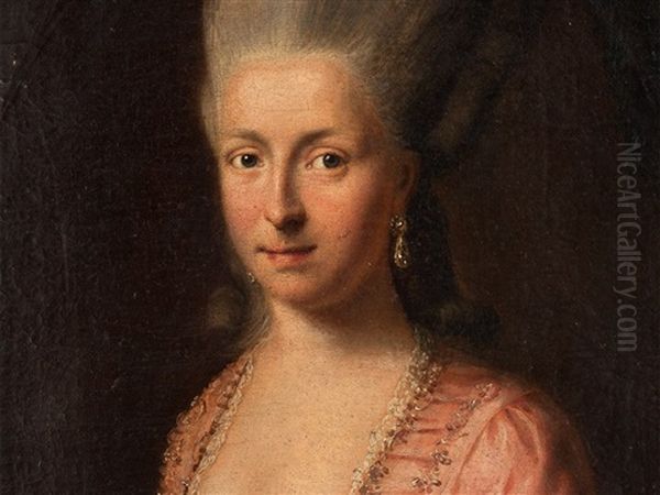 Portrait Of A Lady - view 1