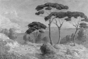 Italienische Kustenlandschaft Mit Weidender Schafherde by Clemens Fraenkel