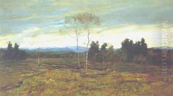 Am Moor - view 1