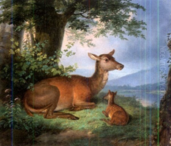 Rotwild In Wiener Auenlandschaft - view 1