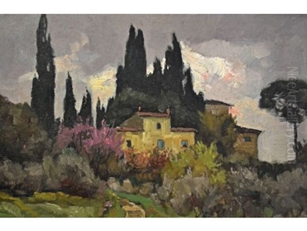 A House Amongst Cypress Trees - view 1