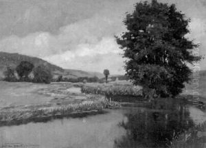 Regentag An Der Sulz