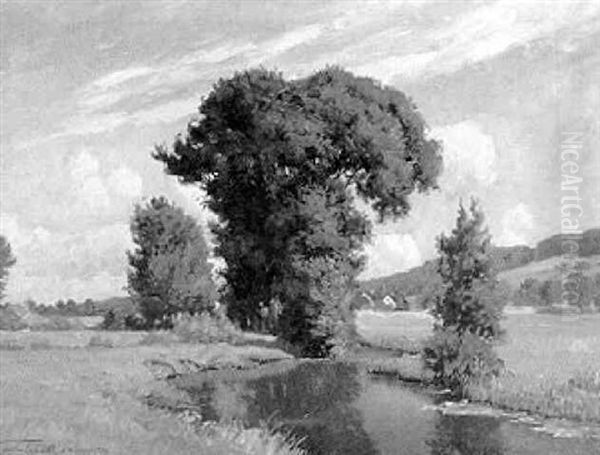Wiesenlandschaft Mit Bachlauf - view 1