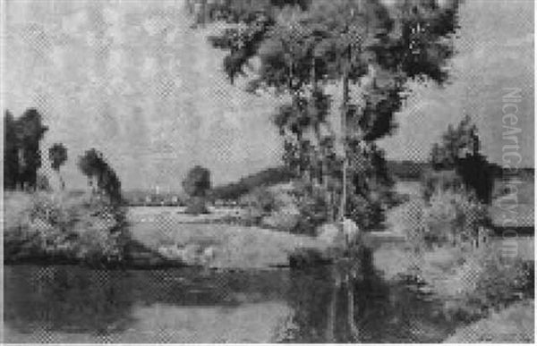 Erlen An Einem Wasser - view 1