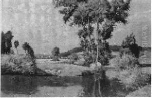 Erlen An Einem Wasser Erlen An Einem Wasser