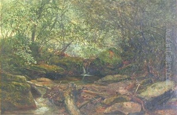 The Brook Thro The Wood - view 1