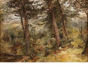 Woodland Forrest