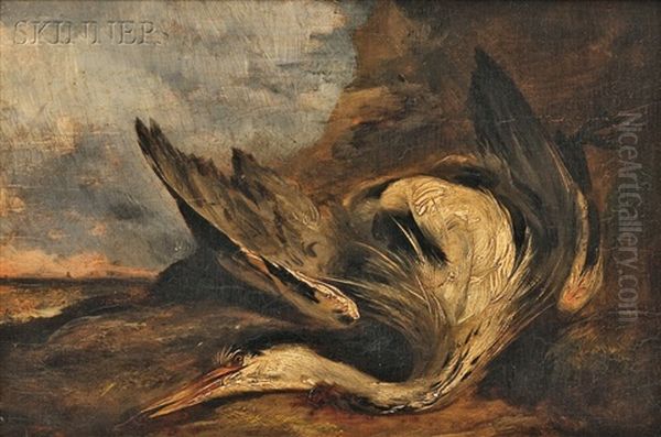 Dead Heron - view 1