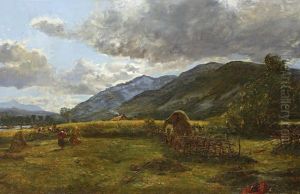 Haymaking